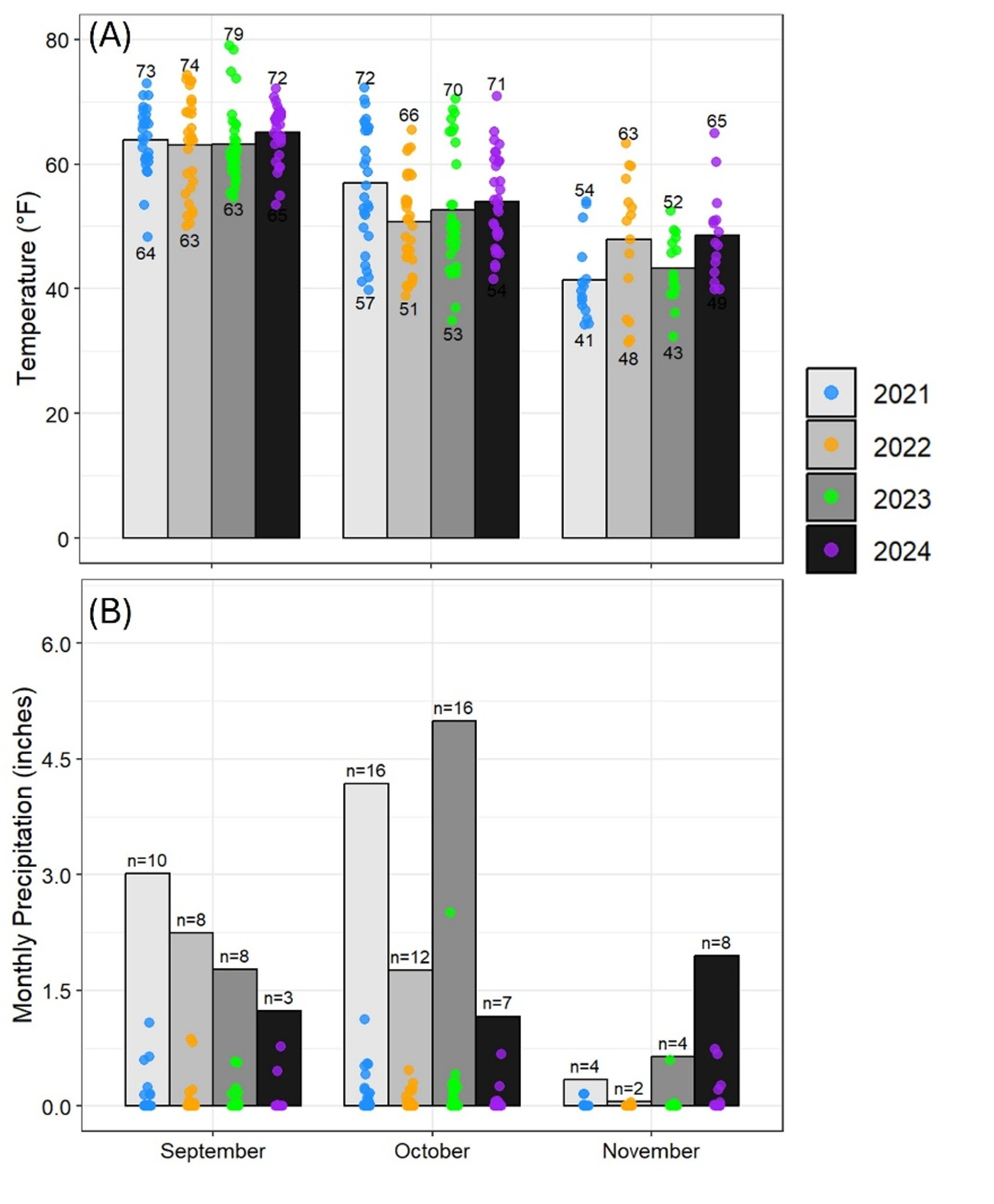 Two-panel bar-and-scatter plots showing temperature and precipitation from September to November across four years (2021–2024). (A) Average monthly temperatures (°F) are shown as bars for each year (blue 2021, gray 2022, green 2023, black 2024), with individual daily data points overlaid as dots. September shows the highest temps (bars ~63–65°F, dots ranging 63–79°F), while November shows the lowest (bars ~41–52°F, dots ~43–65°F). (B) Monthly precipitation (inches) for the same months and years. Bars represent monthly totals, with dots showing daily rainfall. Precipitation is highest in October (up to ~5.5–6 inches in 2022 and 2024) and lowest in November (≤1 inch except 2024 at ~2.5 inches). Sample sizes (“n=”) are labeled above bars.